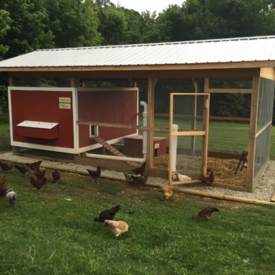 Basic Chicken Coop Design